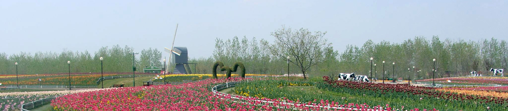 http://m.xnh.net.cn/en/data/upload/202012/20201218110840_374.jpg